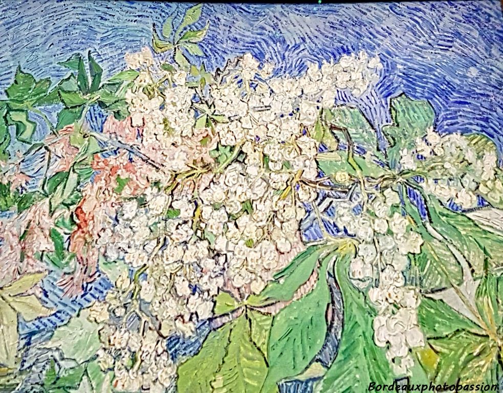 Branche de marronnier en fleurs (1890) Vincent Van Gogh